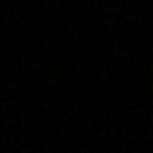 Meet your Posher, Bailey